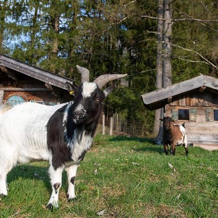 Appartamento Knoglerhof Inkl. Chiemgaukarte Ruhpolding Esterno foto
