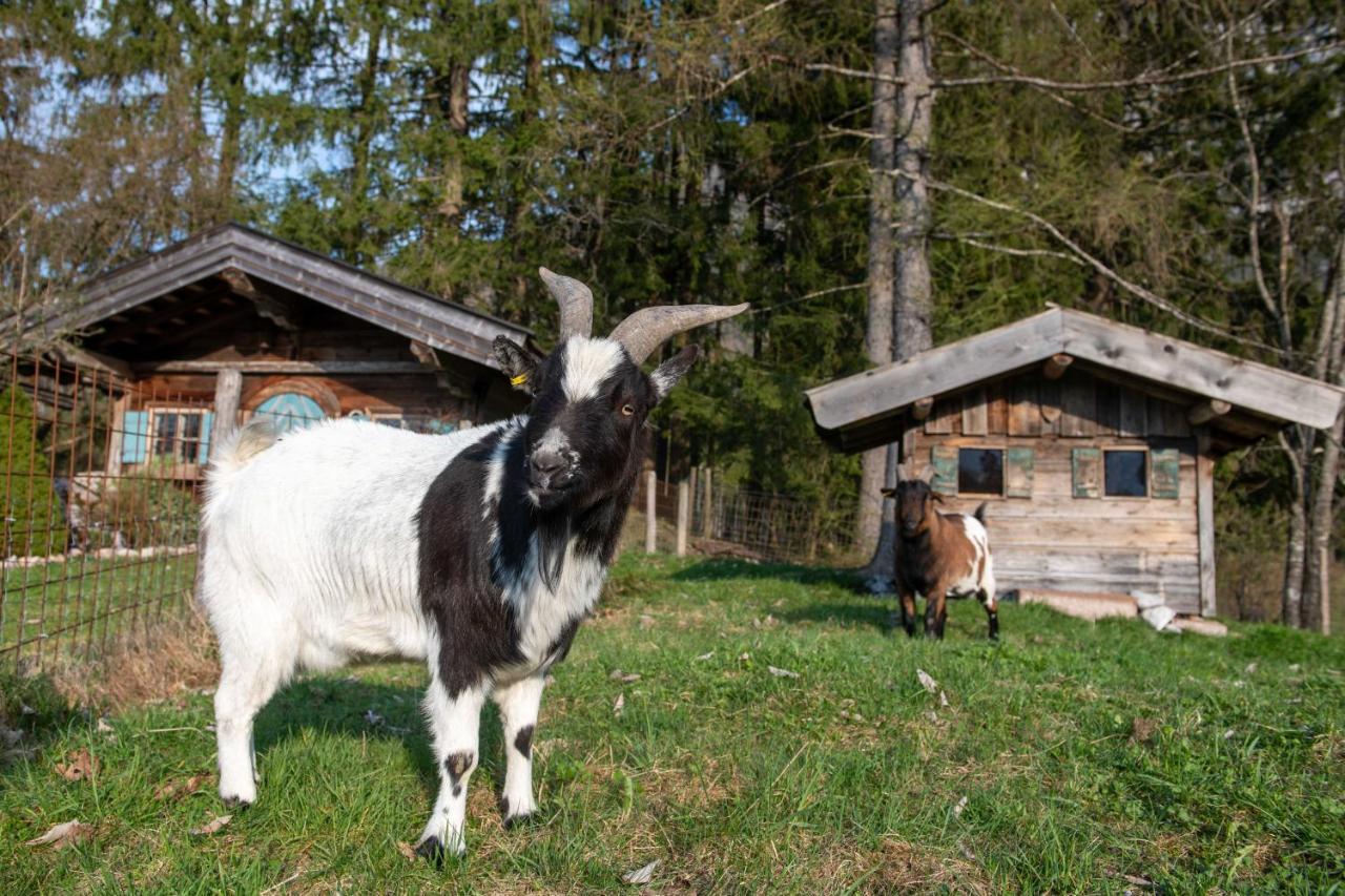 Appartamento Knoglerhof Inkl. Chiemgaukarte Ruhpolding Esterno foto